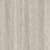 Grey Elm