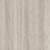 Grey Elm