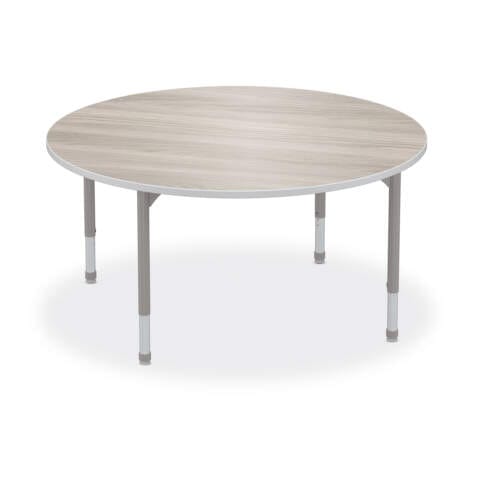 Hierarchy Activity Round Table