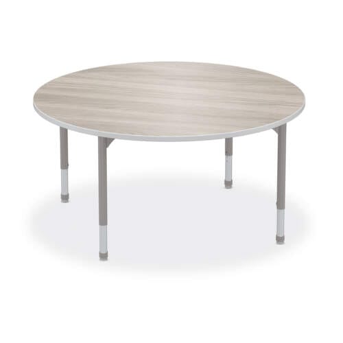 Hierarchy Activity Round Table